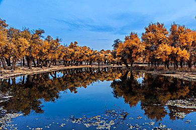 SNK经典IP回归 Gamera Games将发行《合金弹头：战略版》